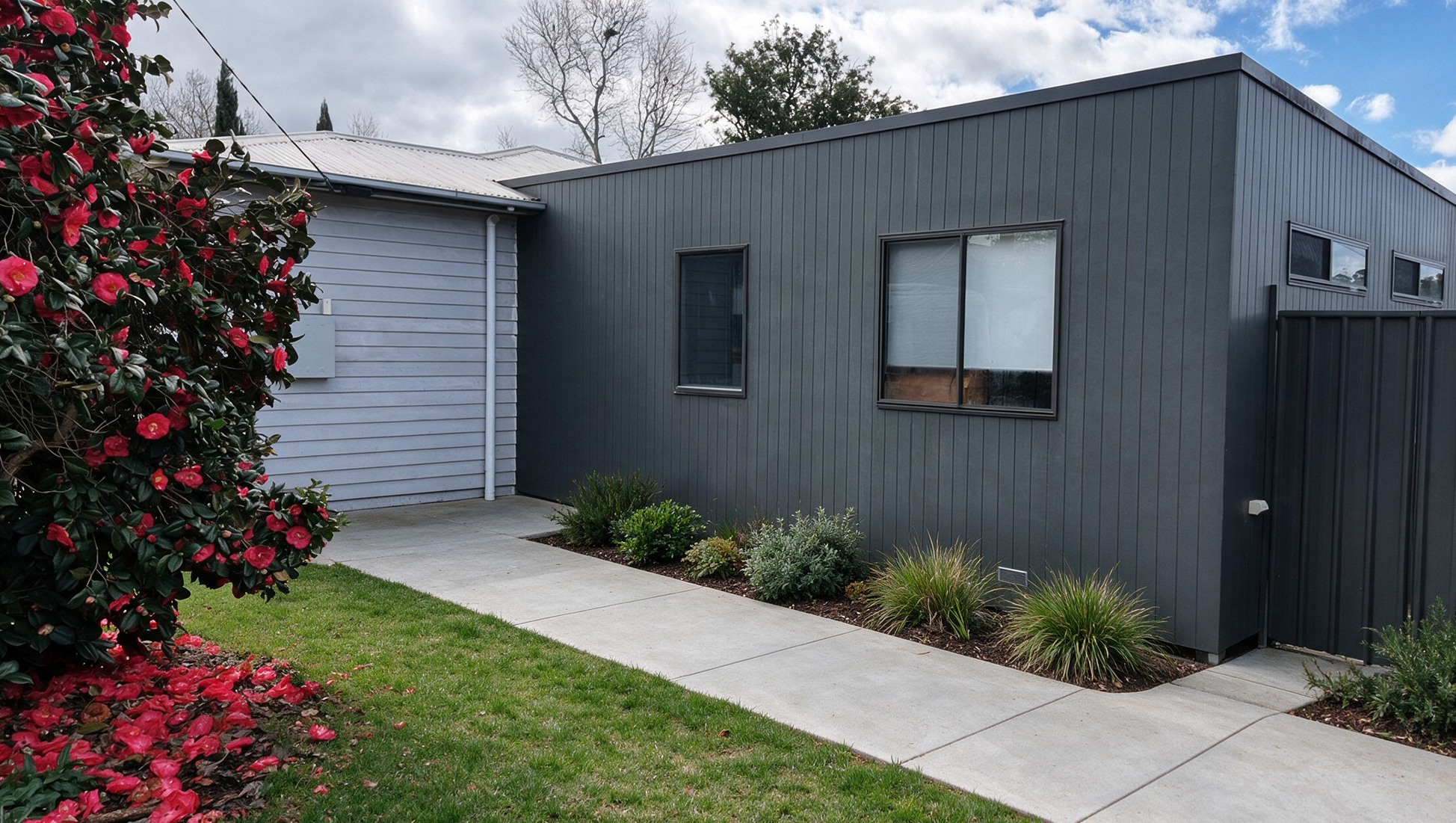 The charcoal-clad extension from the side, with the new concrete path running along the building and the established camellia beside it